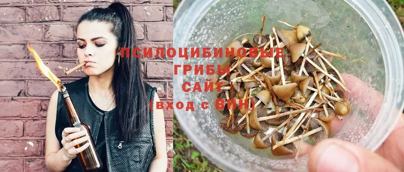 Галлюциногенные грибы Psilocybe  Омск 